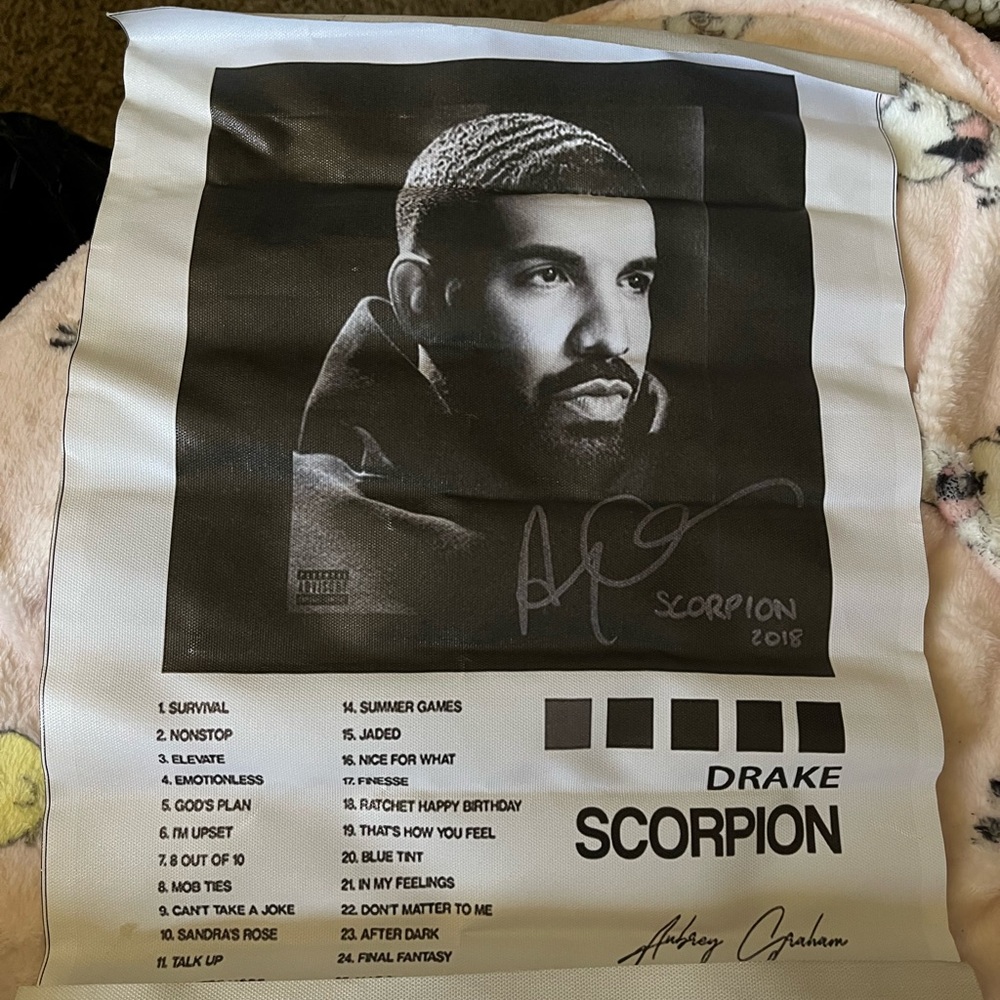 Drake Scorpion Album Poster